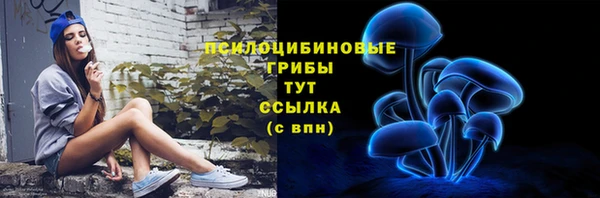 молекула духа Армянск