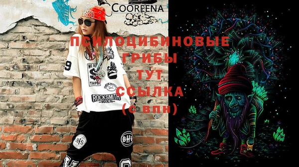 тгк Аркадак