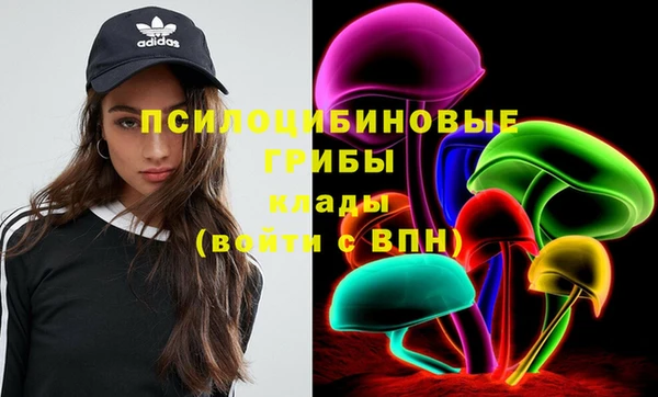 молекула духа Армянск
