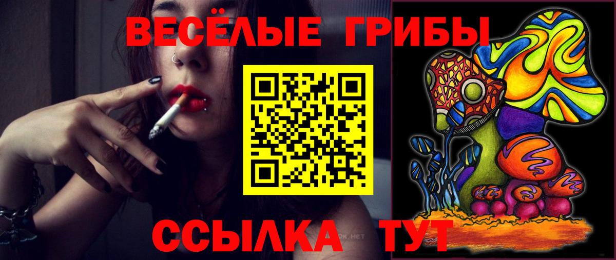 Псилоцибиновые грибы Cubensis  Вход с VPN  Кубинка 